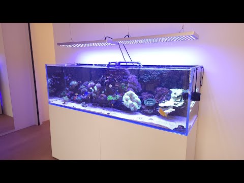 Видео: Обзор морского аквариума. Свет. Флотатор. Автодолив