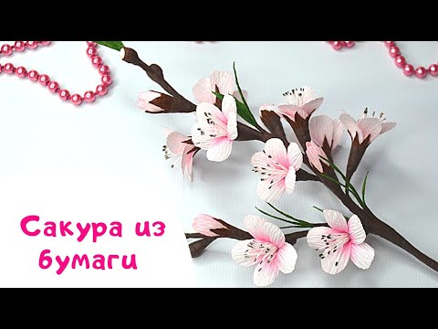Видео: Сакура из гофрированной бумаги / Веточка сакуры / Sakura DIY
