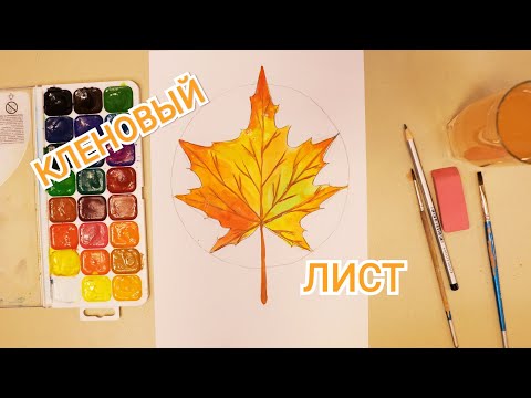 Видео: Как нарисовать кленовый листочек @ осенний листик