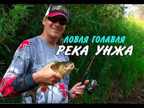 Видео: Ловля голавля на реке Унжа