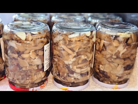 Видео: Ciuperci (Ghebe) marinate pe iarna/ Гребы (Опята) маринованный на зиму