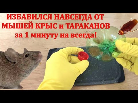 Видео: Самый Легкий Спосбо избавиться от Мышей Крыс и Тараканов