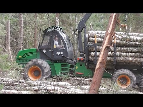 Видео: Форвардер Амкодор 2661-01 в работе. Сбор и перевозка леса. Лес в Беларуси.