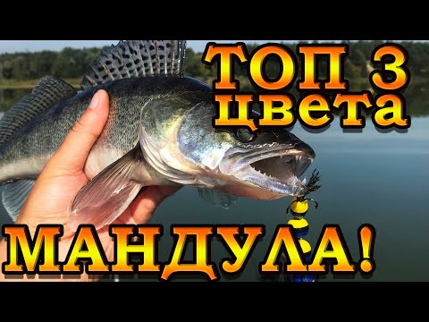 Видео: Мандула на судака | Лучшие цвета 2021 | Рыбалка на спиннинг