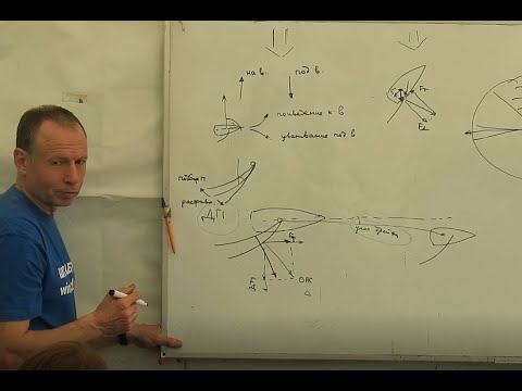 Видео: Вводное занятие по виндсерфингу в Школе ветра 20240519