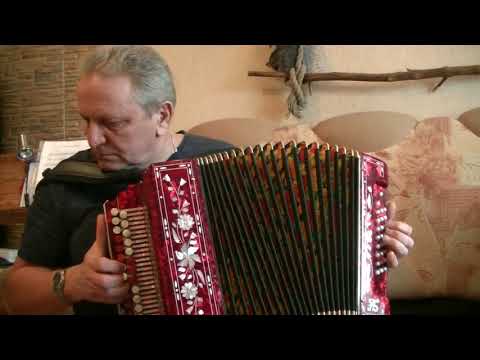 Видео: Вьюга,ты моя подруга... на гармони.