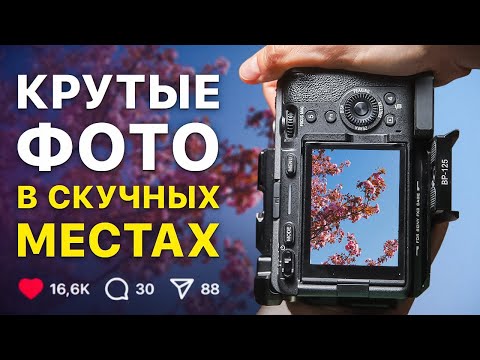 Видео: 7 советов, которые сделают ЛЮБОЕ фото красивым! (минимум оборудования)