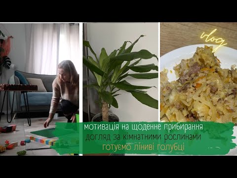 Видео: БУДЕННІ ДОМАШНІ СПРАВИ: 🔥ПРИБИРАННЯ/ГОТУВАННЯ🌱 МОЇ КІМНАТНІ РОСЛИНИ🥙 ЩО ПРИГОТУВАТИ НА ВЕЧЕРЮ