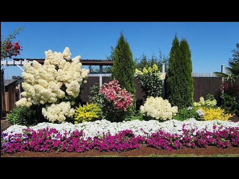 Видео: Ответы на некоторыее вопросы