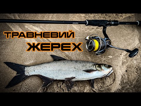 Видео: Розпускаю фрикціон бо ЛОМАЄ ГАЧКИ! Жерех на ДНІПРІ посеред Києва!