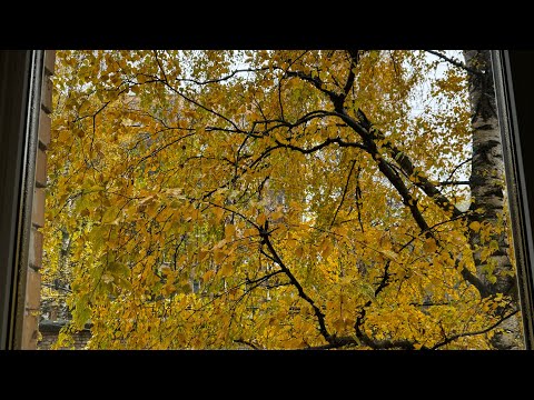 Видео: Расхламление и планы на ремонт (снова). Готовлю, убираю, выбрасываю. Начала новый канал 🤪