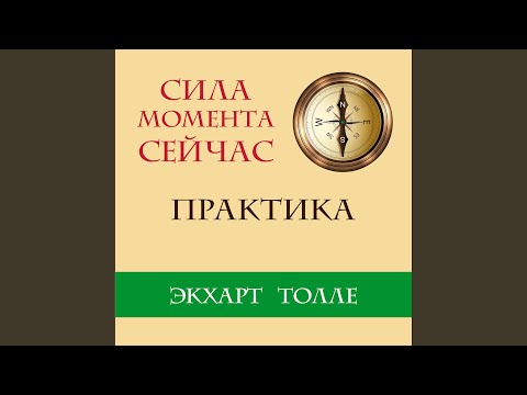 Видео: Мудрость сдачи