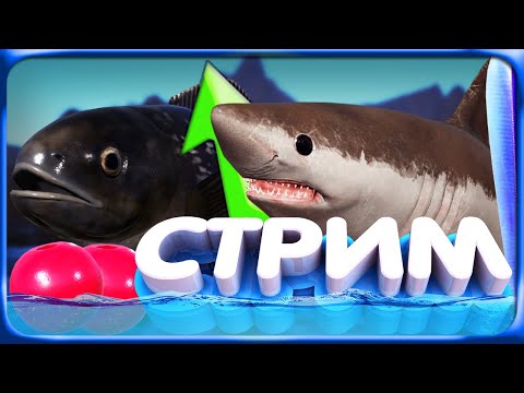 Видео: РР4 СТРИМ • В ПОИСКАХ КЛЕВА и ФАРМА СЕРЕБРА на ГЛУБИНАХ НОРВЕЖСКОГО МОРЯ!