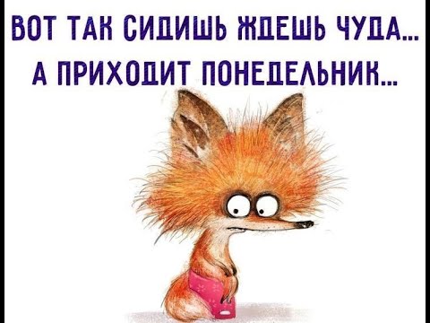 Видео: влог - понедельник - пауки, разбитые колени и вопросы