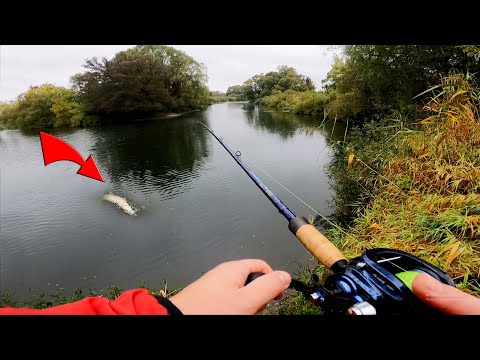 Видео: Щука на огромные приманки с берега! Не верил что это получится!