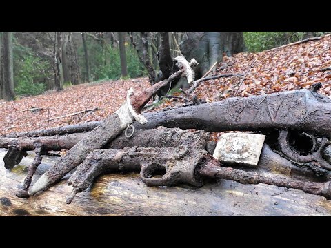 Видео: 2 часть. В ЛЕС ЗА ШТЫКАМИ КАК БАЛЬЗАМ НА ДУШУ! РЕДКИЕ ТРОФЕИ.
