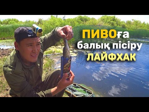Видео: Пиво қалбырына балық пісірдім. Как ВКУСНО и БЫСТРО приготовить рыбу в диких условиях.