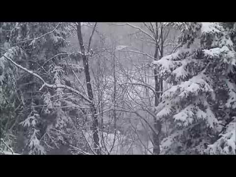 Видео: А  С  Пушкин   Метель  Читает Алексей Баталов