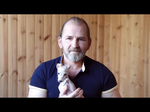 Видео: 1. Как научить команде НЕЛЬЗЯ щенков мелкой и крупной породы? В чем отличие?
