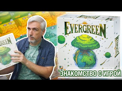 Видео: Знакомство с настольной игрой "EVERGREEN: ЗЕЛЕНЫЙ МИР"