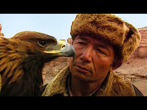 Видео: Повелитель орлов - Повелители животных