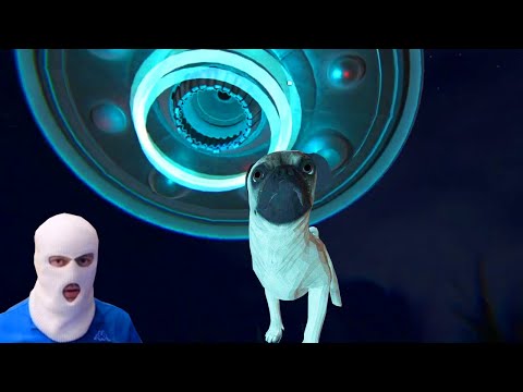 Видео: дуэнде похитили меня и моего мопса...