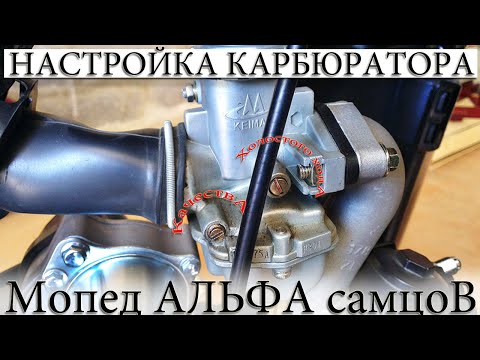 Видео: ☑️ НАСТРОЙКА КАРБЮРАТОРА НА МОПЕДЕ ALPHA, ВИНТ ХОЛОСТОГО, КАЧЕСТВА, ИГЛА, ПОПЛАВКОВАЯ.