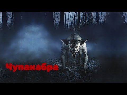 Видео: Легендата за Чупакабра