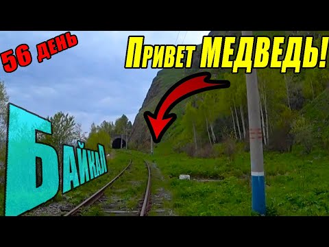 Видео: №56. Встреча с медведем на КБЖД. Пешком и на велосипеде по КБЖД из Листвянки. Байкал. Еду в Магадан.