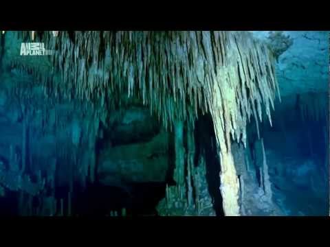 Видео: Северная Америка