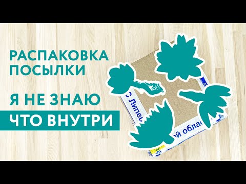 Видео: Заказала не глядя! Распаковка суккулентов из посылки от Ярины Питерской