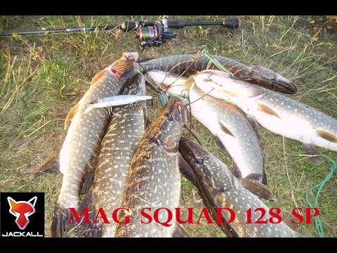 Видео: Jackall Mag Squad 128 SP.  Октябрьская Щука !