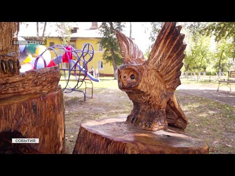 Видео: В брянском поселке Белые Берега поселились деревянные скульптуры