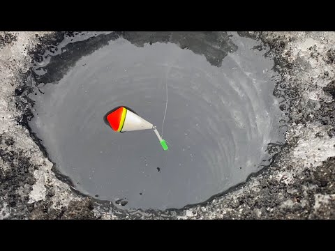 Видео: ЗАКИНУЛ ПОПЛАВОК в ЛУНКУ...ЗАБРАЛО УДОЧКУ! Это ЖОР! Зимняя рыбалка 2025