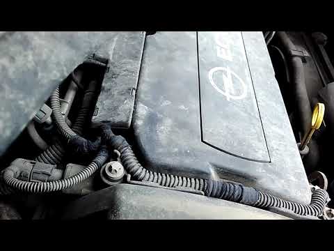 Видео: Замена ремня ГРМ.OPEL ZAFIRA 1.8 ECOTEC.