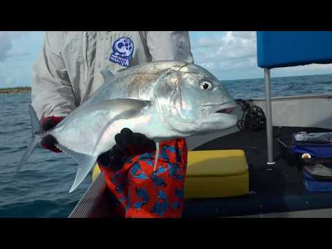Видео: Морская рыбалка на Сейшельских островах \ Мировая рыбалка. Сезон 4