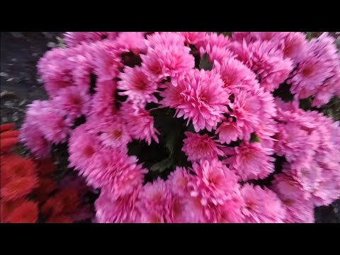 Видео: Чем занимаюсь после Ярмарки 🤔Купила обновку в Рукодельную 🤗 Продала Заказ 🥲