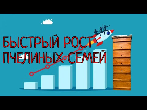 Видео: БЫСТРО УВЕЛИЧИТЬ СИЛУ СЕМЕЙ ВЕСНОЙ