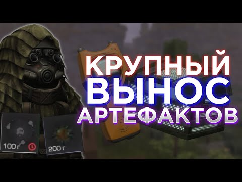 Видео: STALCRAFT выносы, особый светляк, Лиманск, Рыжий лес, ПК.