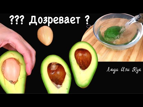 Видео: 🍀Эксперимент! Дозреваю авокадо за 3 минуты Как дозреть авокадо Люда Изи Кук обед ужин салат закуска