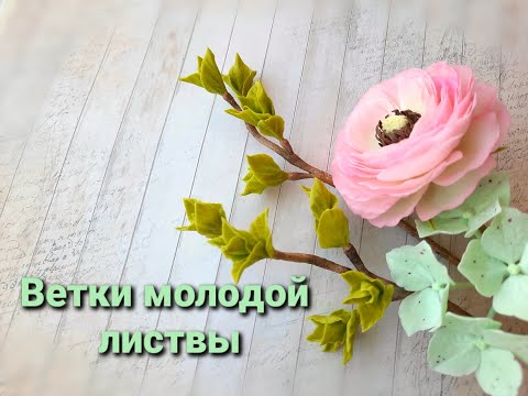 Видео: Ветки молодой листвы из холодного фарфора. МК Анны Крахиной.