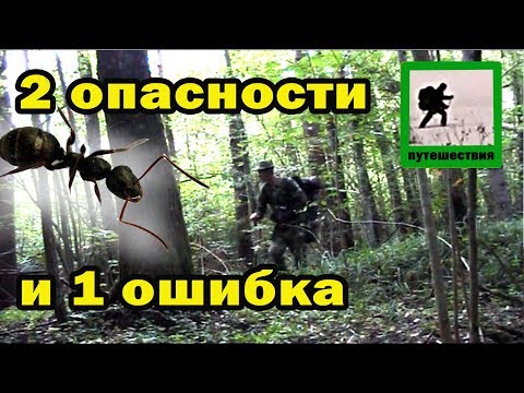 Видео: 3 ошибки в пешем походе, день 2.2,Брянская область