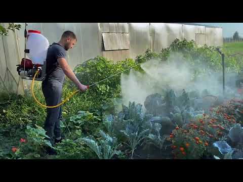 Видео: Садовый бензиновый опрыскиватель с двигателем honda