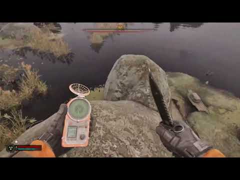 Видео: Интересные Нычки С Локации Болота Stalker 2