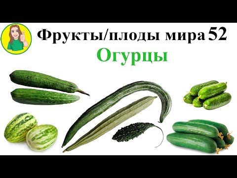 Видео: Фрукты / плоды мира 52 – Огурцы Сыроедение Фрукторианство