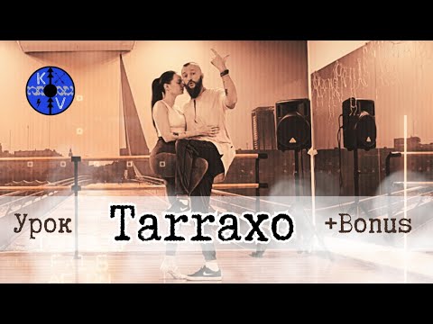 Видео: Tarraxo Супер урок с приятным бонусом