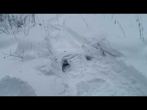 Видео: Кто куда, а мы в лес. Очередной лесной поход на мотобуксировщике. Находим большие сугробы.