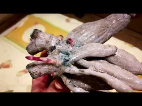 Видео: Хранение георгин в парафине. Парафинизация георгин.