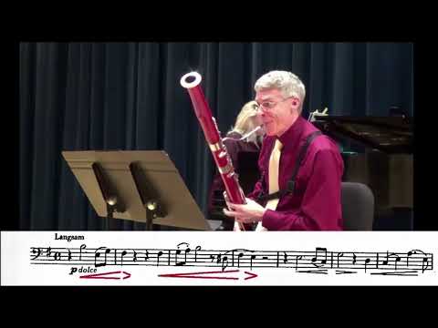 Видео: Две пьесы Юлиуса Вайссенборна: Arioso и Humoresque (Weissenborn Two Pieces)