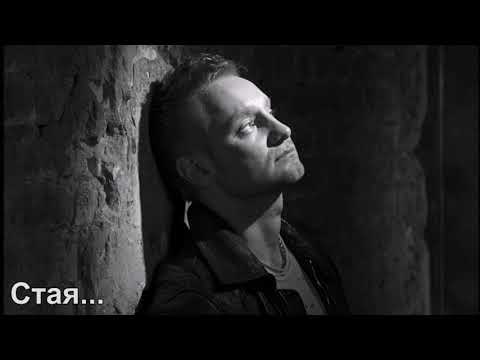 Видео: Алексей Хворостян - "Стая"